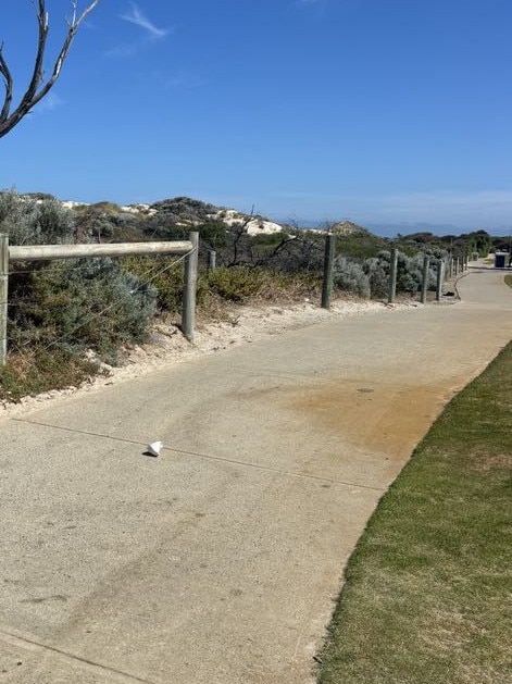 Takeaway cups littered the path and dunes.