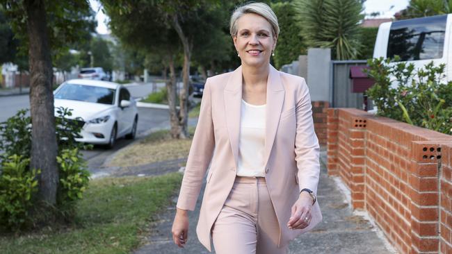 Tanya Plibersek has decided not to run for Labor leader. Picture: Justin Lloyd.