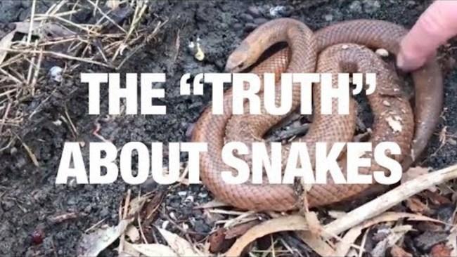 The ”Truth“ About Snakes