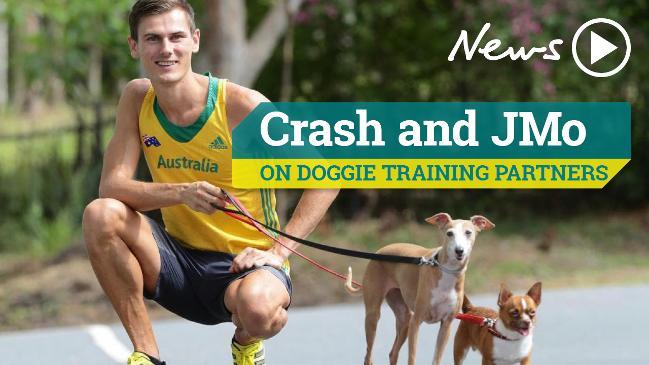 Crash and JMo on doggie training partners