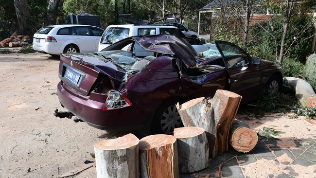 One of two cars destroyed by a falling tree at the Meadows Vet Clinic. Picture: Campbell Brodie.