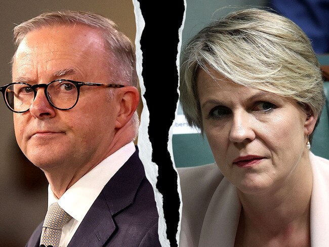 Where’s Tanya? Why Albo has benched popular Plibersek