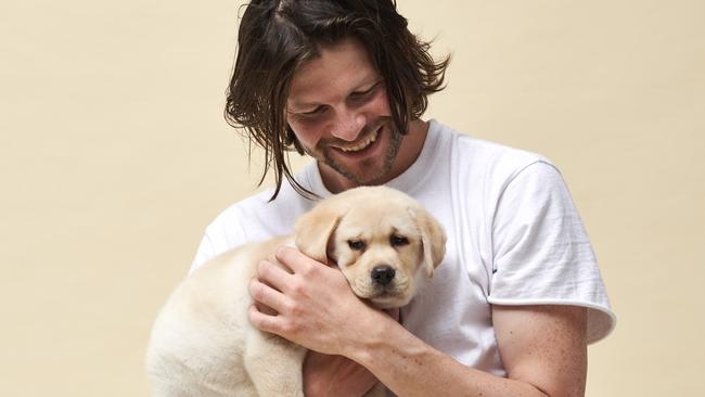 Scratch has been eaten by 10,000 dogs across Australia. Picture: Supplied