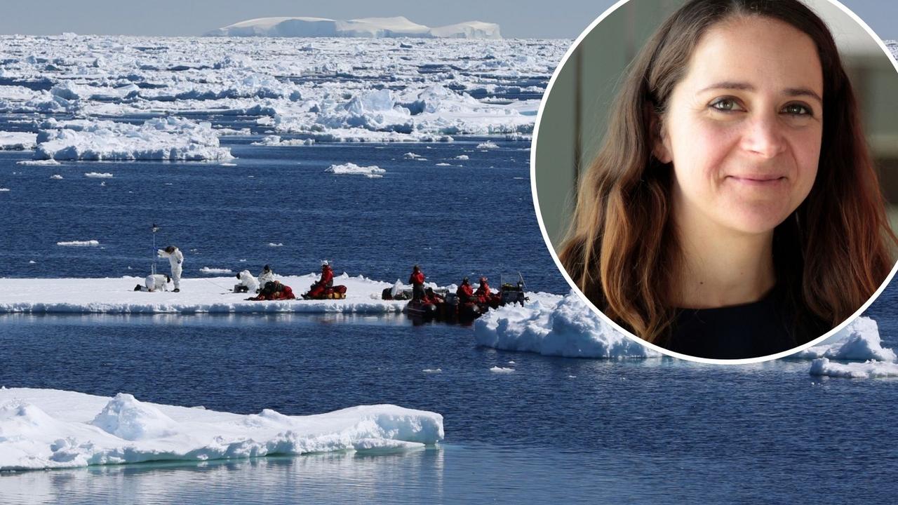 Sea ice expert to head Antarctic research program