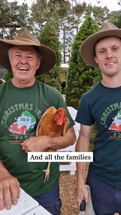 Holiday cheer at the Christmas Tree Farm