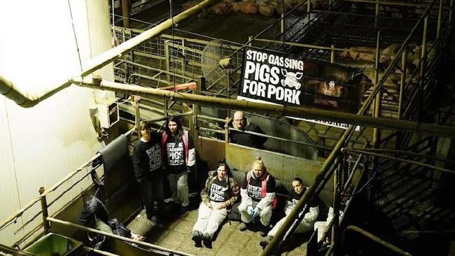 Animal activists at a Victorian slaughterhouse. Picture: Farm Transparency Project