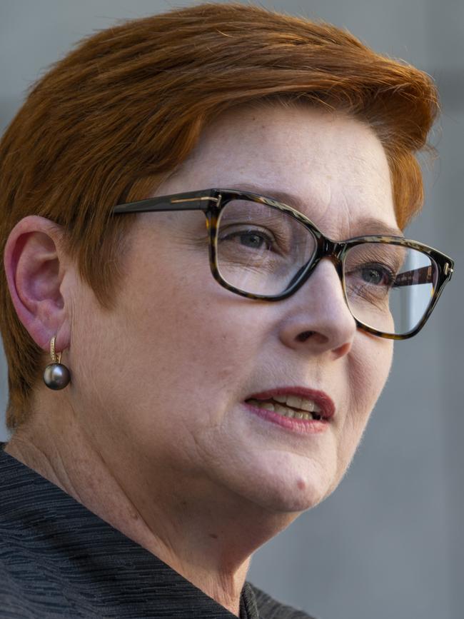 Foreign Affairs Minister Marise Payne had no choice but to act. Picture: Martin Ollman