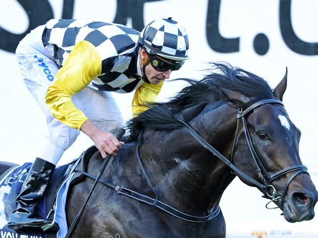 23/10/2010 SPORT: 23/10/2010 SPORT: 2010 Cox Plate. Moonee Valley. Steven Arnold wins on So You Think as they go past the post.