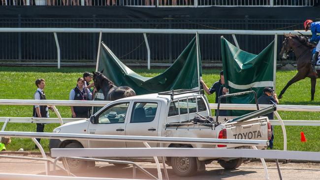 The Melbourne Cup included tragedy, with The Cliffsofmoher destroyed after the race. Picture: Jason Edwards