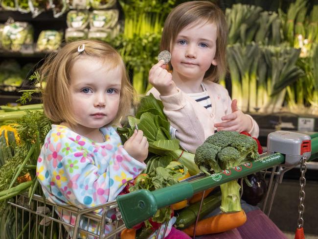 Family donating money to the Feed Appeal in store at Woolworths to help hit the target of 3 million meals for Aussies in need. Rebecca Winter with Winnie, 4, and Marla, 2 with their groceries.Picture by Wayne Taylor 23rd June 2021