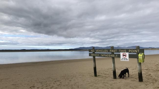 The 'Sandy Point Skeleton' was found at Shallow Inlet, near Sandy Point in south Gippsland. Supplied