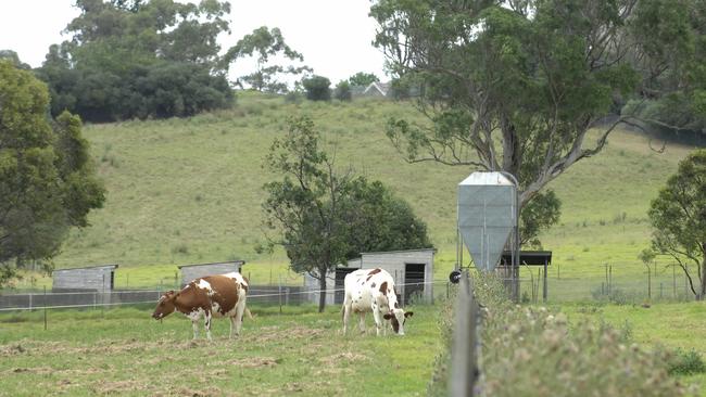 Hurlstone Agricultural High School offers students a rural education.