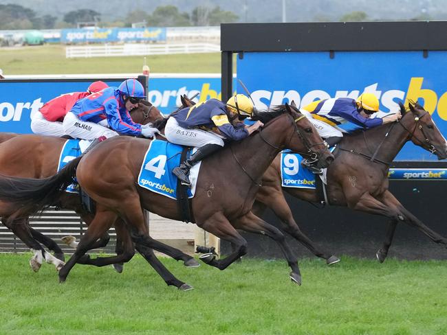 War Machine (closest) goes down narrowly to The Instructor in the Hareeba Stakes at Mornington on Saturday. Photo: Scott Barbour/Getty Images.
