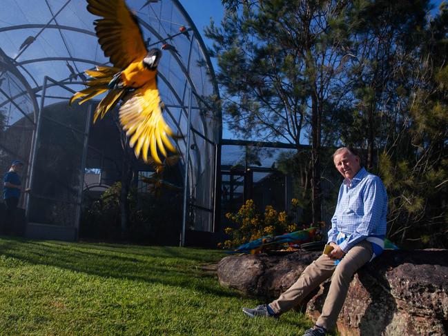 John Singleton at his aviary full of macaw birds. Picture: Justin Lloyd