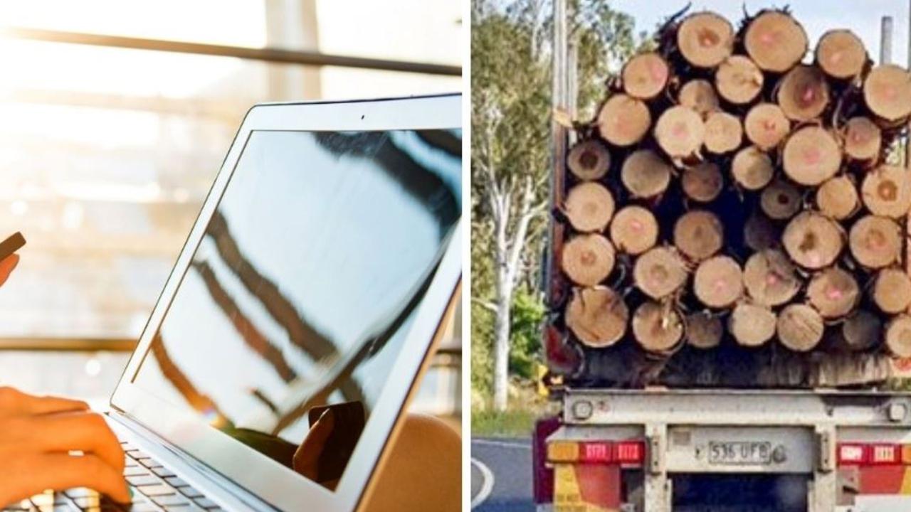 Timber firm swindled: Bogus logs and $450k fraud