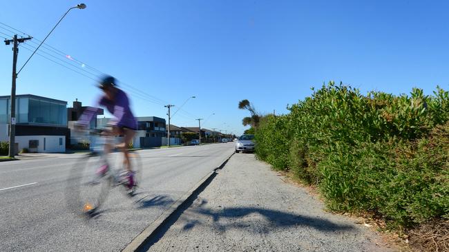 Mordialloc state Labor MP Tim Richardson has weighed in on the bay trail debate. Picture: Nicki Connolly