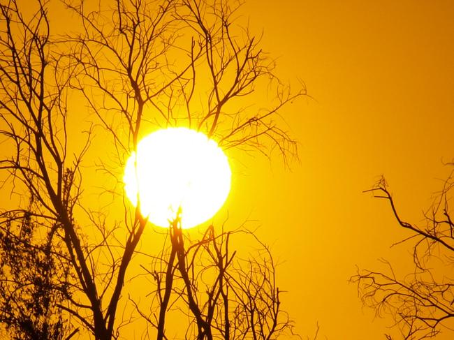 Qweekend Your Shot for September 5, theme is 'glowing'. Rachel Kneubuhler, Ayr, Qld. 