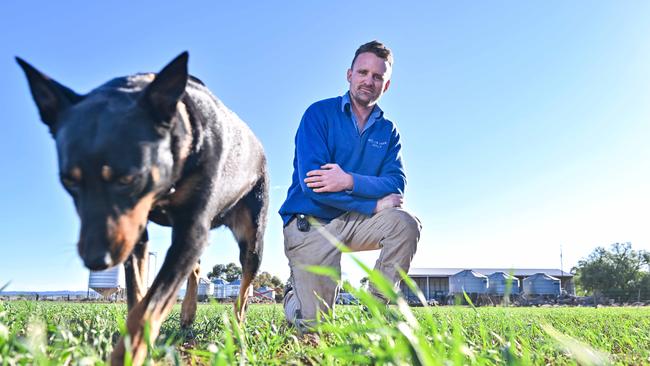 Sixth generation farmer James Heaslip with dog Luna on his Apilla property. Picture: Brenton Edwards