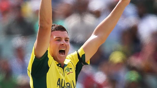 Australia's Josh Hazlewood makes a big lbw which was given not out during ICC Cricket World Cup Quarter Final between Australia and Pakistan at the Adelaide Oval. pic. Phil Hillyard
