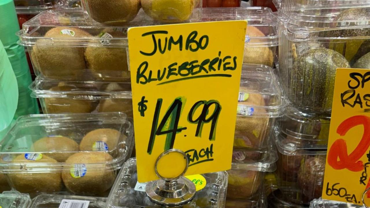 Jumbo blueberries for sale for $14.99 a punnet at Aubergine’s in the Central Market. Picture: Supplied