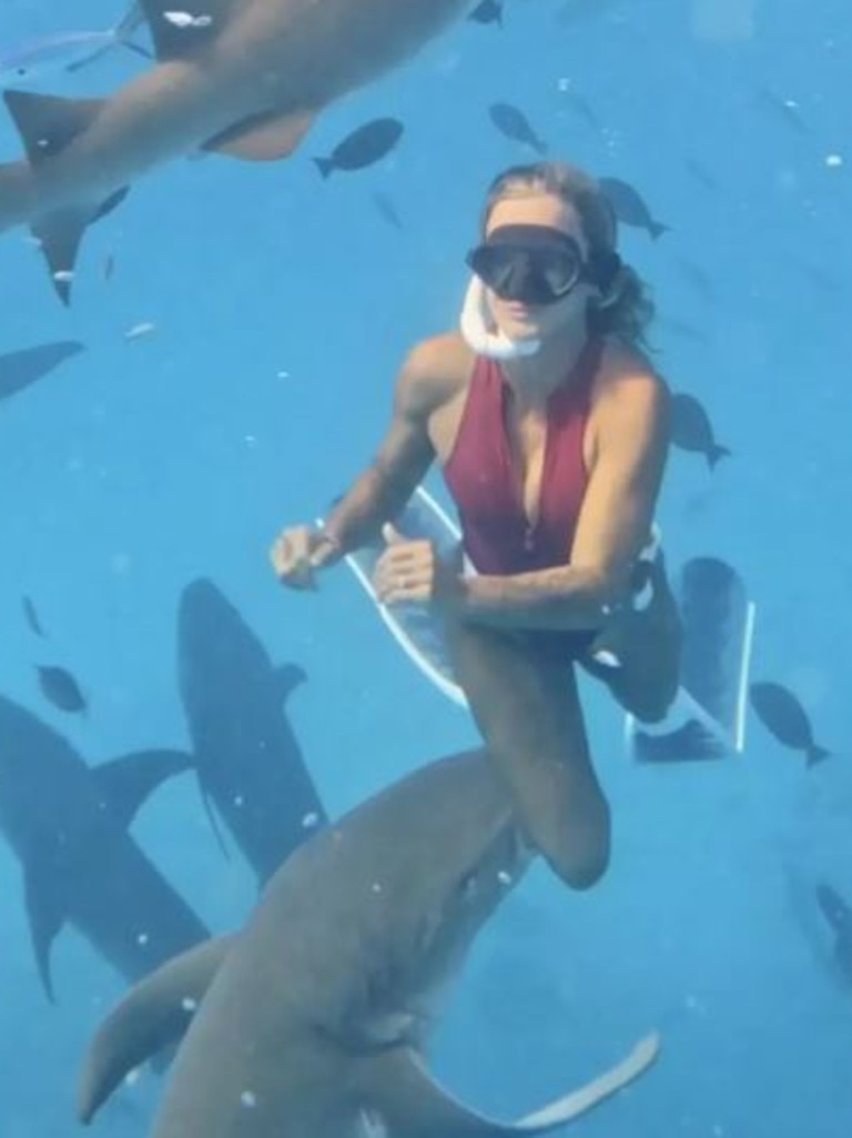 Lilian Tagliari was swimming with 50 grey nurse sharks. Picture: Compass Media