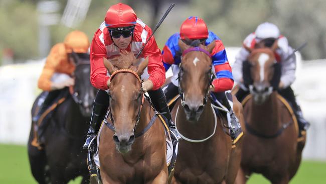 She's Extreme looks good value in the Group 1 Golden Rose. Picture: Getty Images