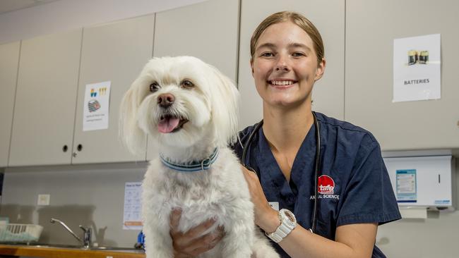 Kayleigh Higgins is a Veterinary Nursing student who loves working with animals. She Graduated from High School in 2017 without an OP/ATAR score and has continued on to study the Cert IV and is currently doing placement at Vetlove in Helensvale. Kayleigh Higgins with Obi. Picture: Jerad Williams