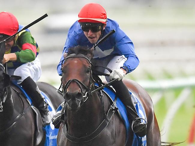 Jockey Baylee Nothdurft rides Invincible Al (centre) to victory in race 9, the Class 6 Handicap, during Saturday Raceday at Eagle Farm Racecourse in Brisbane, Saturday, February 8, 2020. (AAP Image/Albert Perez) NO ARCHIVING, EDITORIAL USE ONLY