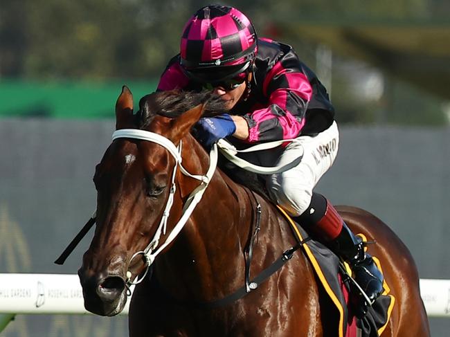 SYDNEY, AUSTRALIA - FEBRUARY 03: Kerrin Mcevoy riding Our Kobison wins Race 9 Schweppes during "Southern Cross Stakes Day" - Sydney Racing at Rosehill Gardens on February 03, 2024 in Sydney, Australia. (Photo by Jeremy Ng/Getty Images)