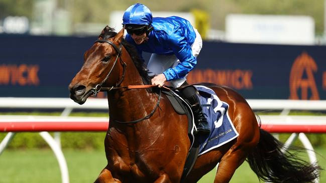 Traffic Warden completes an exhibition gallop at Randwick earlier this month. Picture: Jeremy Ng / Getty Images