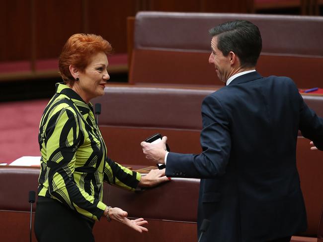 Education Minister Simon Birmingham says Senator Hanson’s support for Ginski 2.0 was ‘to her credit’. Picture Kym Smith