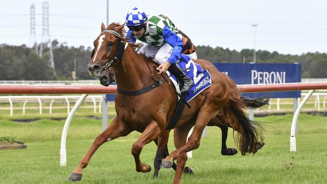 Lightly-raced gelding Winston Hills can bring up the hat-trick at Randwick. Picture: Bradley Photos