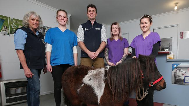 Dr Marilyn Price, Sheridan Bourke, Dr Matt Redgewell, Mikayla Ter Haar and Ashleigh Holland with Buddy the pony. Picture: Ian Currie