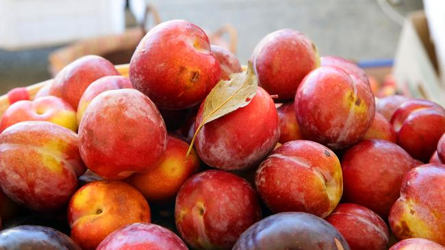 Organic plums at the Sunny Patch Sydney stall, Entertainment Quarter Markets. Picture: Craig Wilson