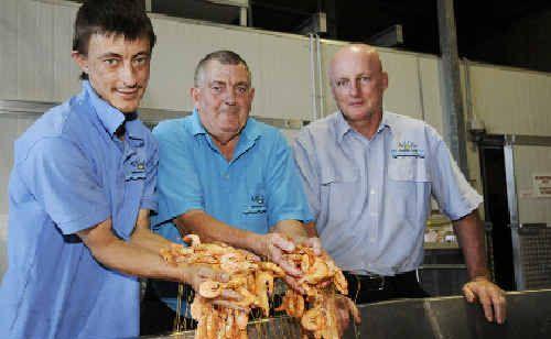 Preparing local school prawns for sale at the Ballina Fishermen’s Co-op are (from left) co-op workers David Reardon and Frank Reardon with co-op manager George Robinson. . Picture: Doug Eaton