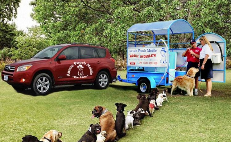 Pooch mobile store