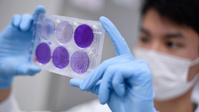 A researcher works on virus replication in order to develop a vaccine against COVID-19 Picture: AFP