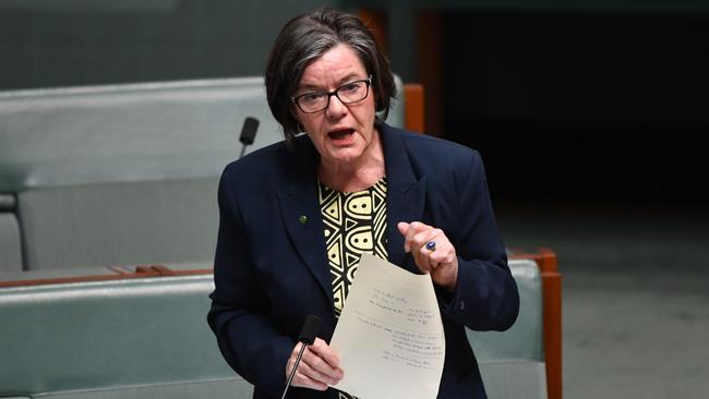 Independent Member for Indi Cathy McGowan introduces her National Integrity (Parliamentary Standards) Bill in the House of Representatives at Parliament House in Canberra, Monday, December 3, 2018. (AAP Image/Mick Tsikas) NO ARCHIVING