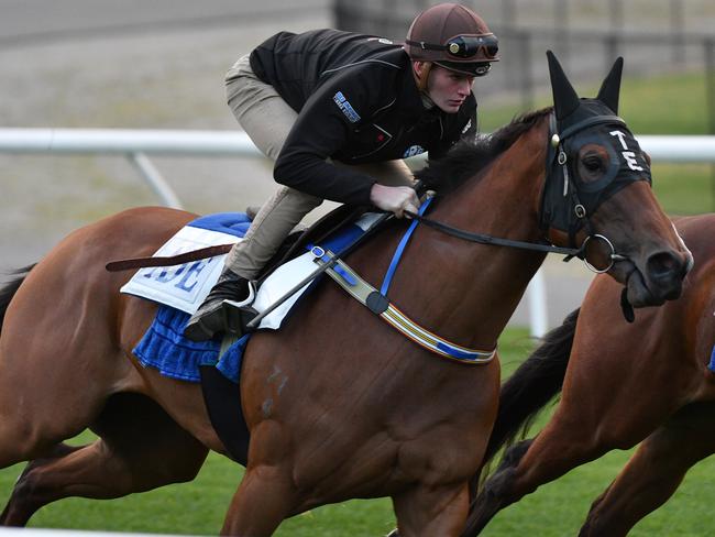 Houtzen during a Moonee Valley track gallop this month. Picture: Getty Images