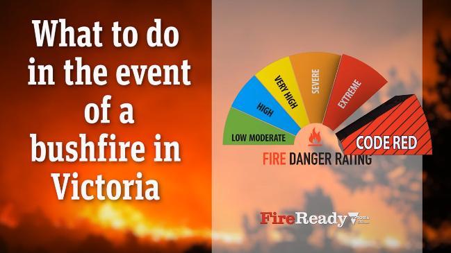 What to do in the event of a bushfire in Victoria