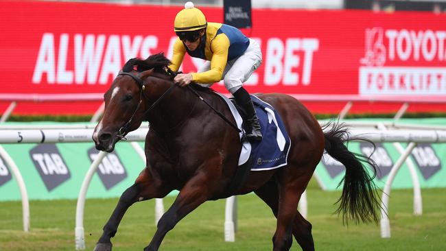 The Golden Rose and Caulfield Guineas loom as likely spring targets for valuable colt Storm Boy. Picture: Getty Images