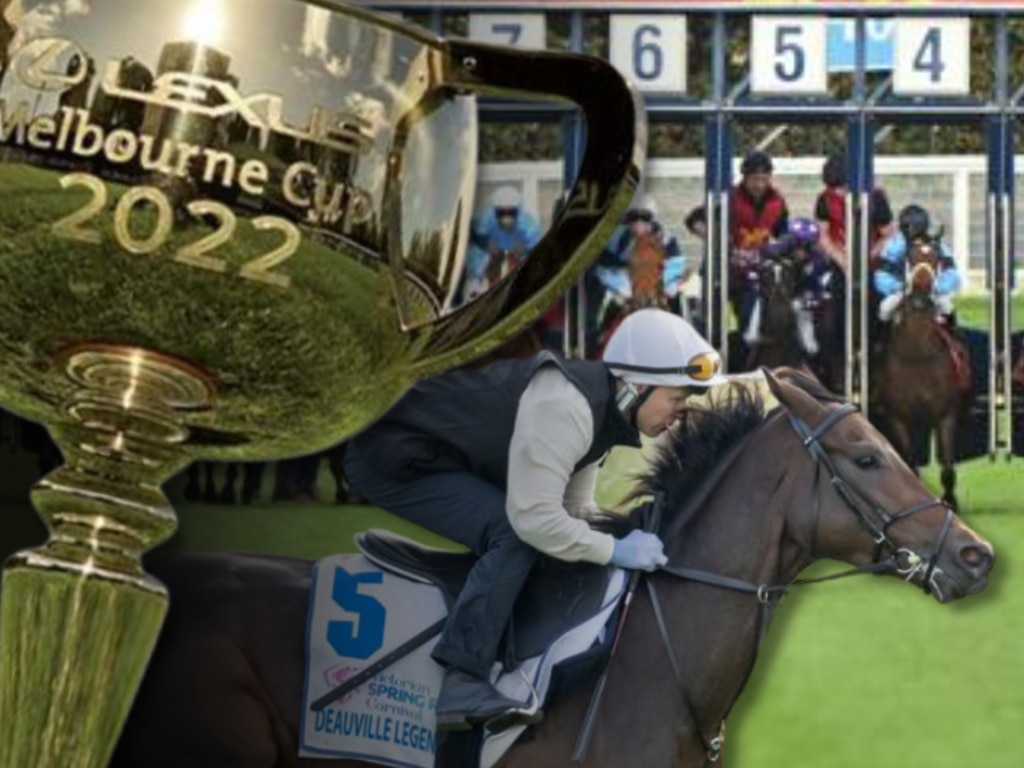 Melbourne cup Horse Racing News and Thoroughbreds The Courier Mail