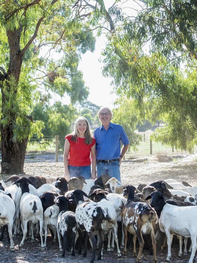 Colin and Meredith Walker run Coolibah Persian Sheep Studat Pearcedale. Pictures: Zoe Phillips