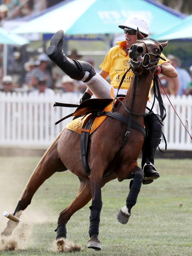 International polo star Nacho Figueras almost comes off his steed. Picture: Nigel Hallett