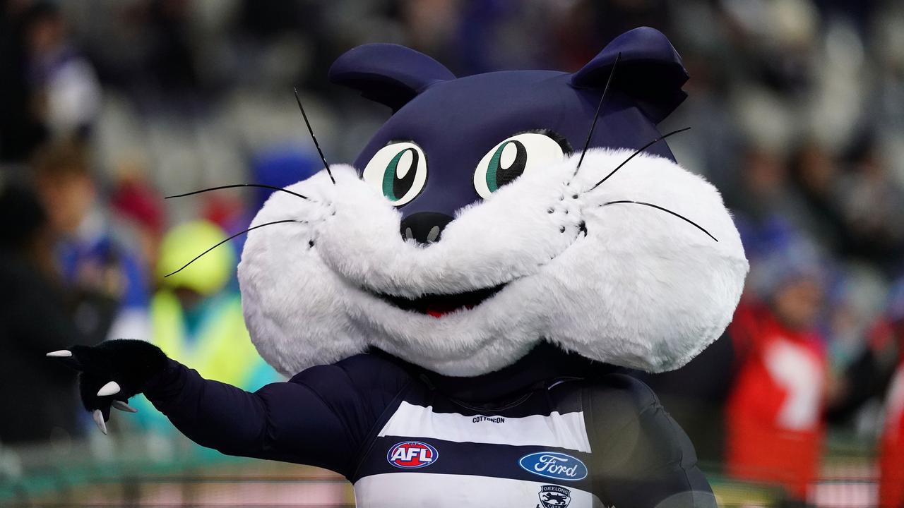 AFL 2020: Geelong Cats holding auditions for next mascots