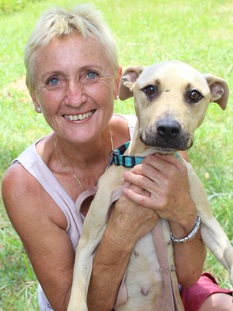 She said 50,000 dogs lose their lives in NSW alone every year.