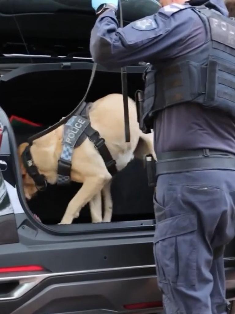 Various police units were involved in the thorough search. Picture: Victoria Police