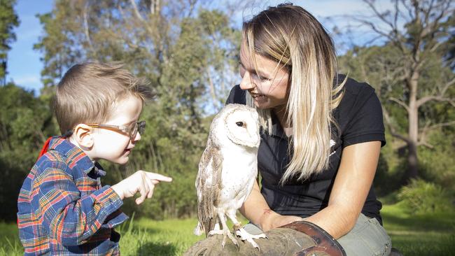 Jude and Feathered Friends handler Kayleen Crawford with Giselle the barn owl. Picture: Melvyn Knipe