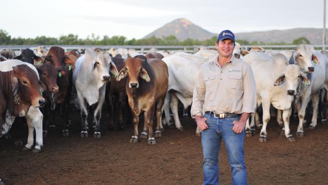 Australian Cattle Enterprises managing director Patrick Underwood has big plans for the Darwin company. Picture: Supplied