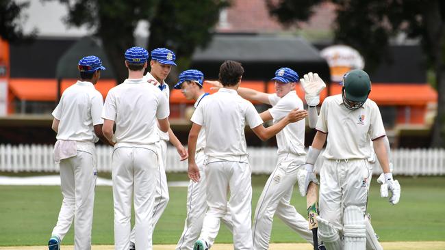 Nudgee College players celebration a wicket this season.